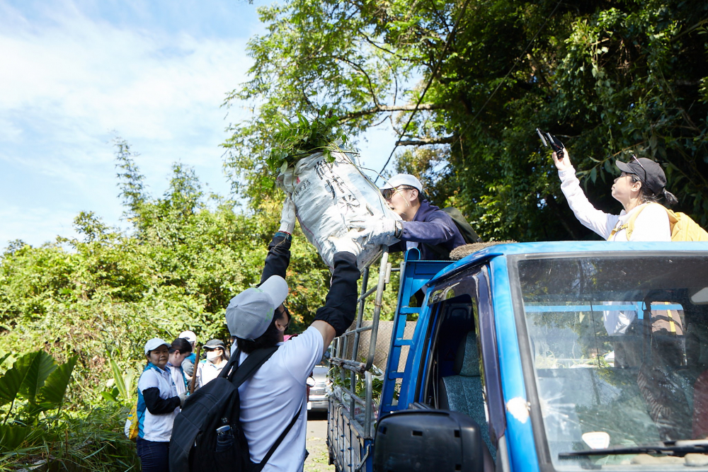 友達串聯志工組成水環境巡守隊，針對霄裡溪沿岸3公里的小花蔓澤蘭，定期進行移除與防治工作